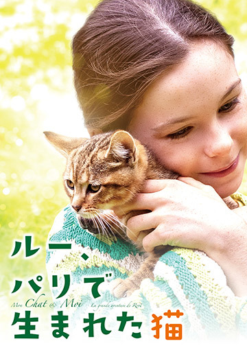 ルー、パリで生まれた猫